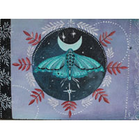 Papillon de nuit, peinture insecte nocturne